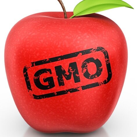 Cornell GMO Debate