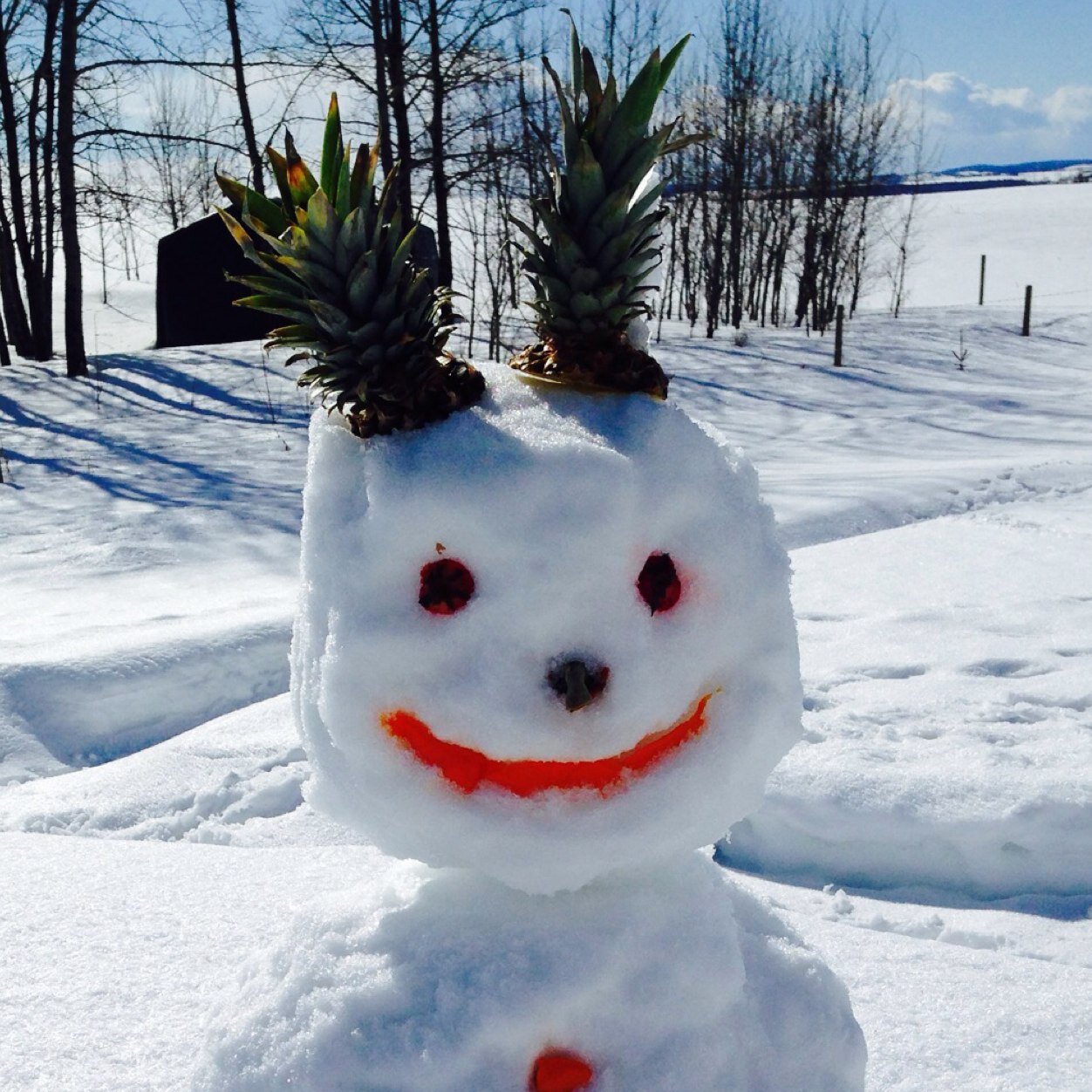 PSCtags's profile picture. 