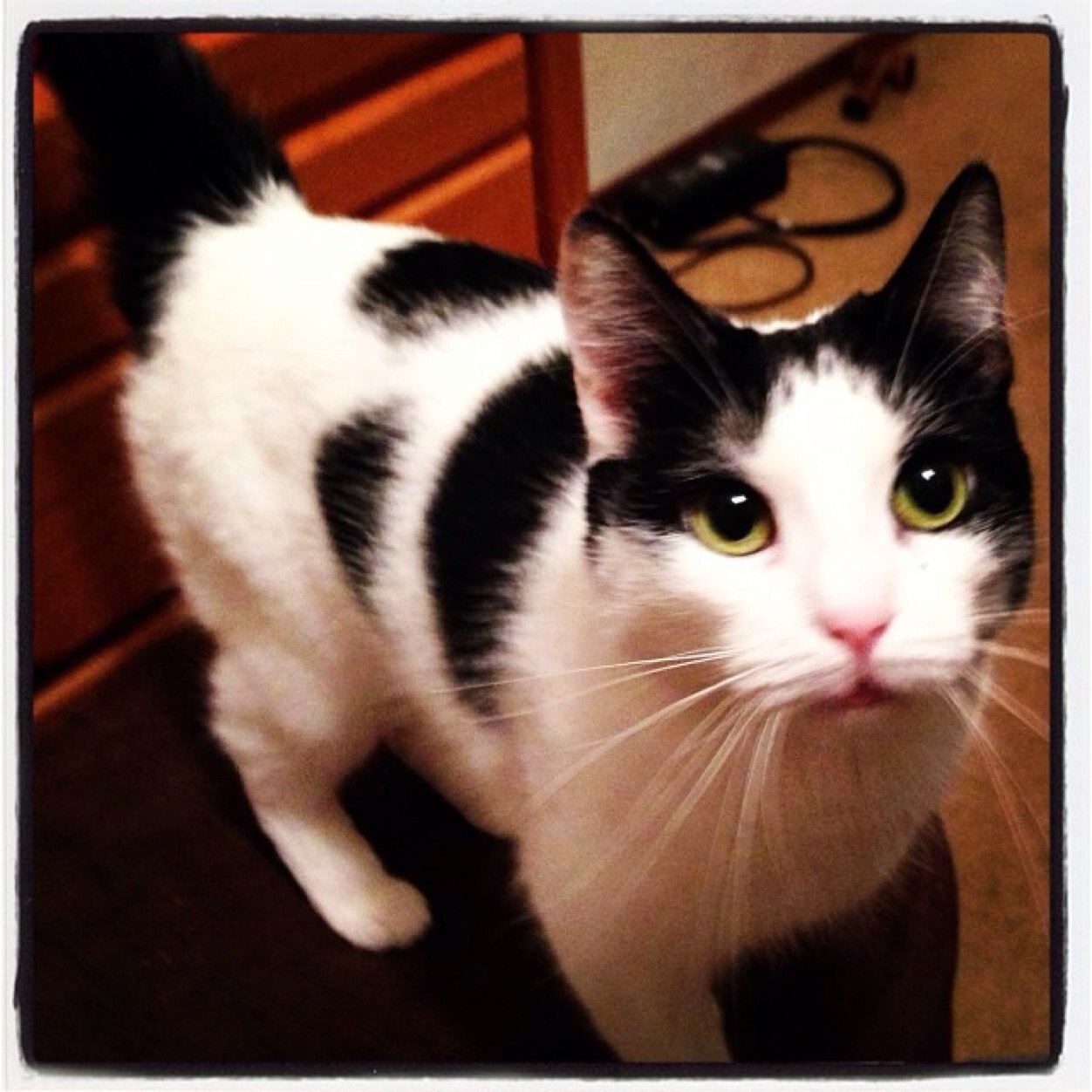 jackson44452026's profile picture. Follow me i follow back# swag