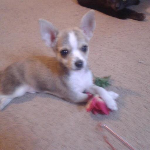 tammy4119's profile picture. 