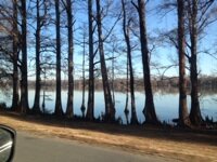 _LIV34TODAY_'s profile picture. I love to listen. That's it. Music. Talking. Crying. Screaming. Laughing. The world is nothing w/o emotion.