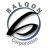 Balqon Corporation