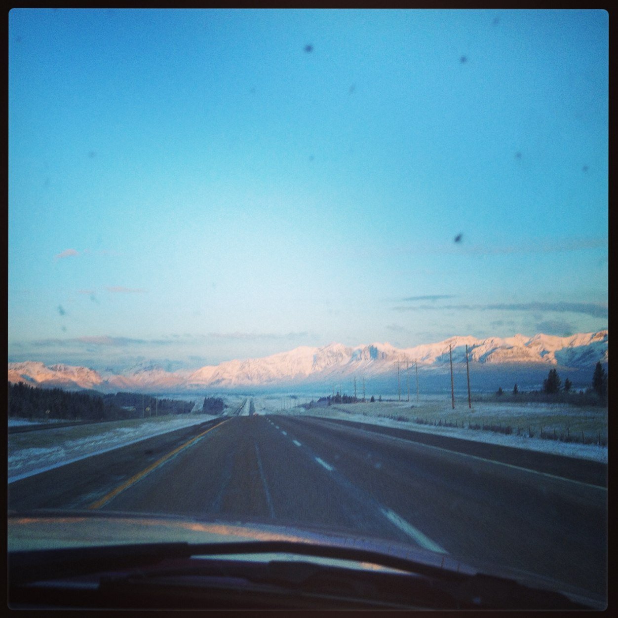 tay_elizabeth5's profile picture. 