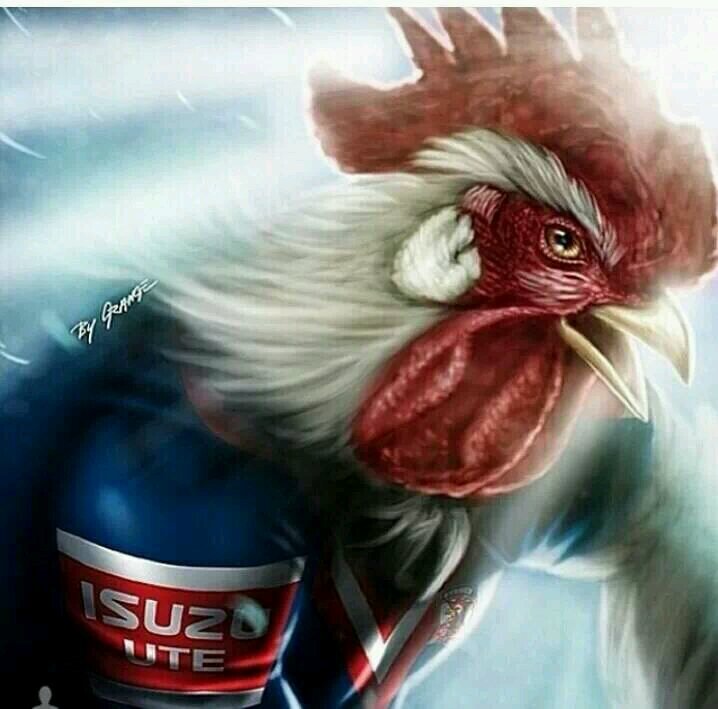 love the roosters