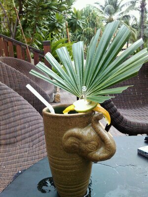 PinkElephantRu's profile picture. Таиланд с нами ближе! Фото, новости, курсы валют и другие полезные твиты )) #Thailand #Pattaya #путешествия