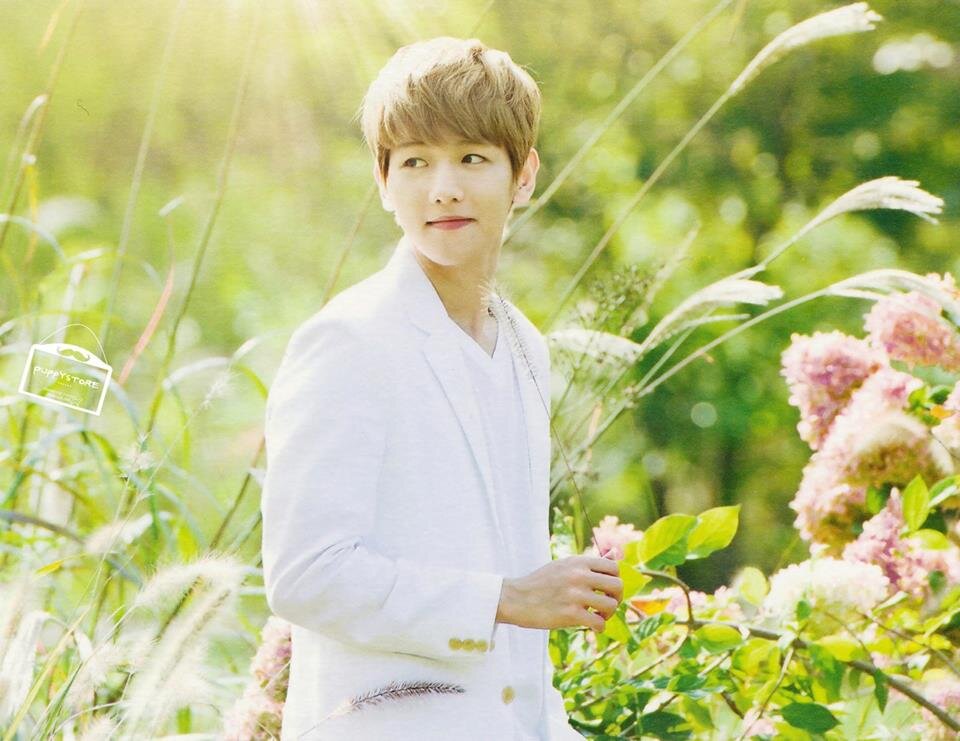 free follow from @TinkerbellYifan , follow me and get 5 free followers