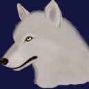 Dexter Herring - @warwolf1331 - Twitter