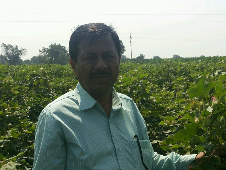 cc009fa67d0a4e1's profile picture. m.sc (agri.) working in  government of Maharashtra agriculture department having experience in development & agricultural extension projects