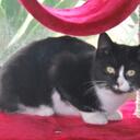 Jayne Doyle - @CheddarBrie - Twitter