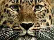 MoyaMoyamichael's profile picture. 