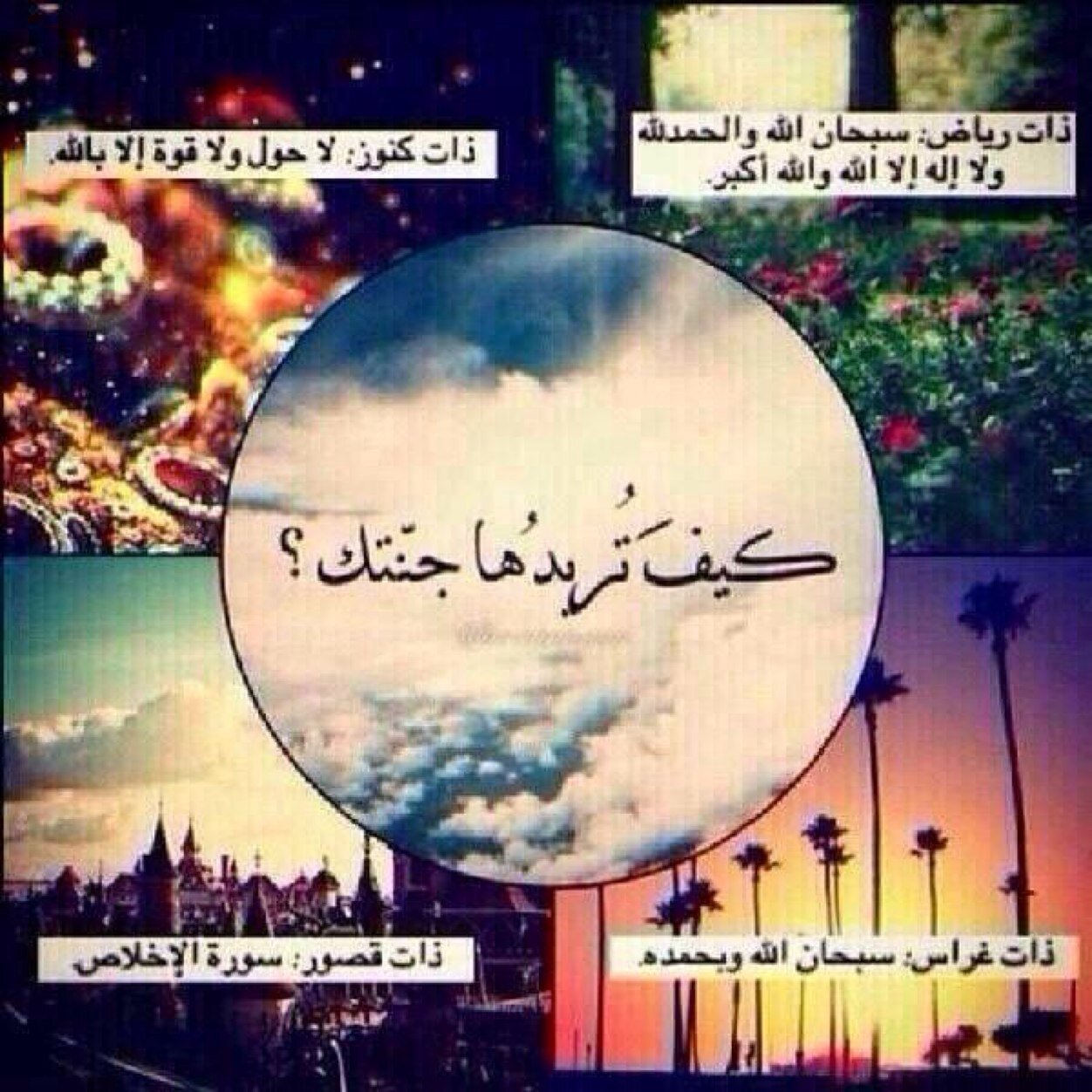 * ليت لي قلبين : الأول يُحب الله ، والثاني يغارُ من الأول فـ يزيد للهِ حُباً ..♥/القرآن الكريم كاملاً في المفضلة..❤️
