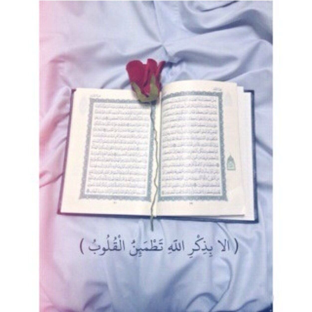لأجلك موني @miimusafirct