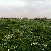 wdha (@wdha_im) Twitter profile photo