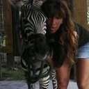 Angela baxter - @jockshorsefarm - Twitter