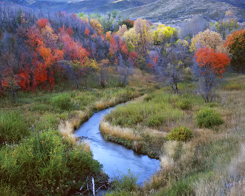 ABadowski's profile picture. Wife to 1 and mom to 5. Classical homeschool teacher. Tutor, library clerk, among other things. Freedom lover and defender. Political junkie on the side.