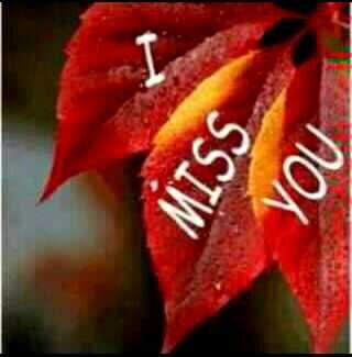 aloms18's profile picture. 