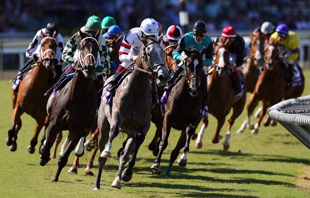 Foro para los amantes de las carreras de caballos https://t.co/RfSucV6Jhp