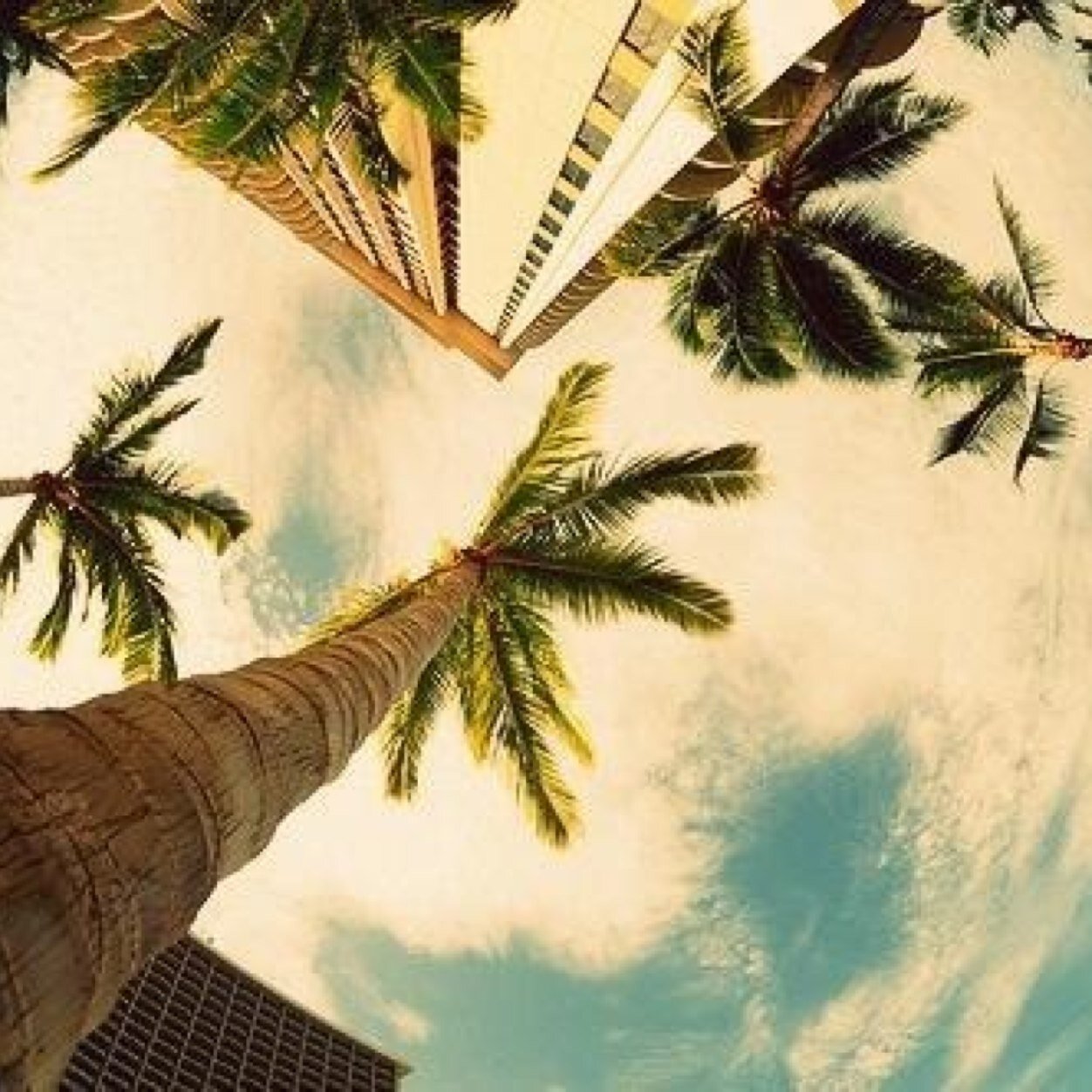 JElodieB's profile picture. Ne jamais baisser les bras, toujours y croire ..Même si les chutes sont parfois difficiles...