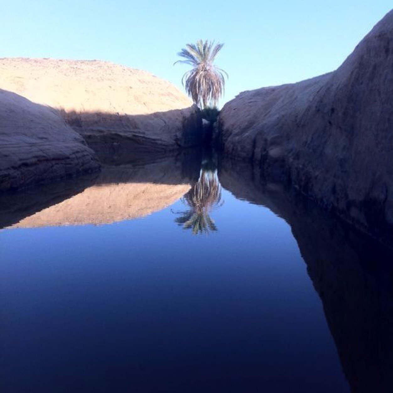 مشاوير خاصه داخل الرياض وخارجها 0559919974