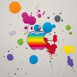 iOS Engineer