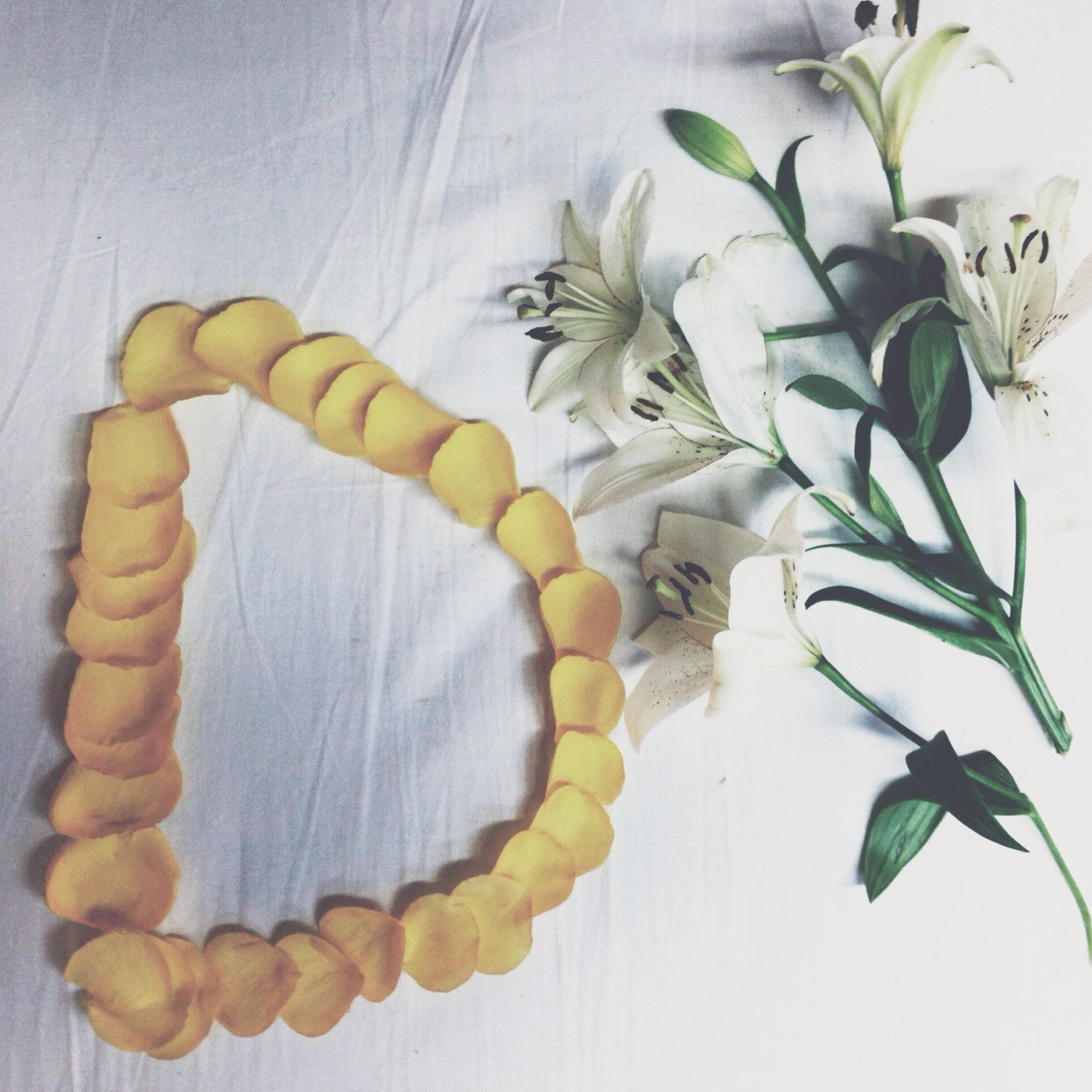 DanaAlmutawah__'s profile picture. queen of November.