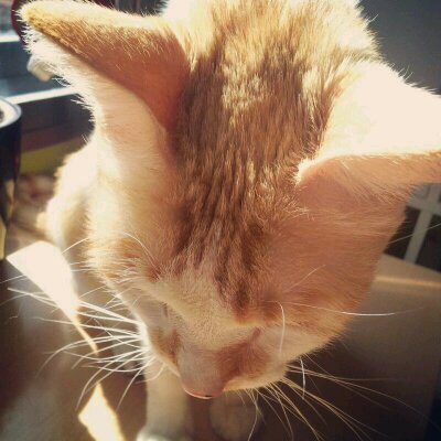 amrtnsj's profile picture. 