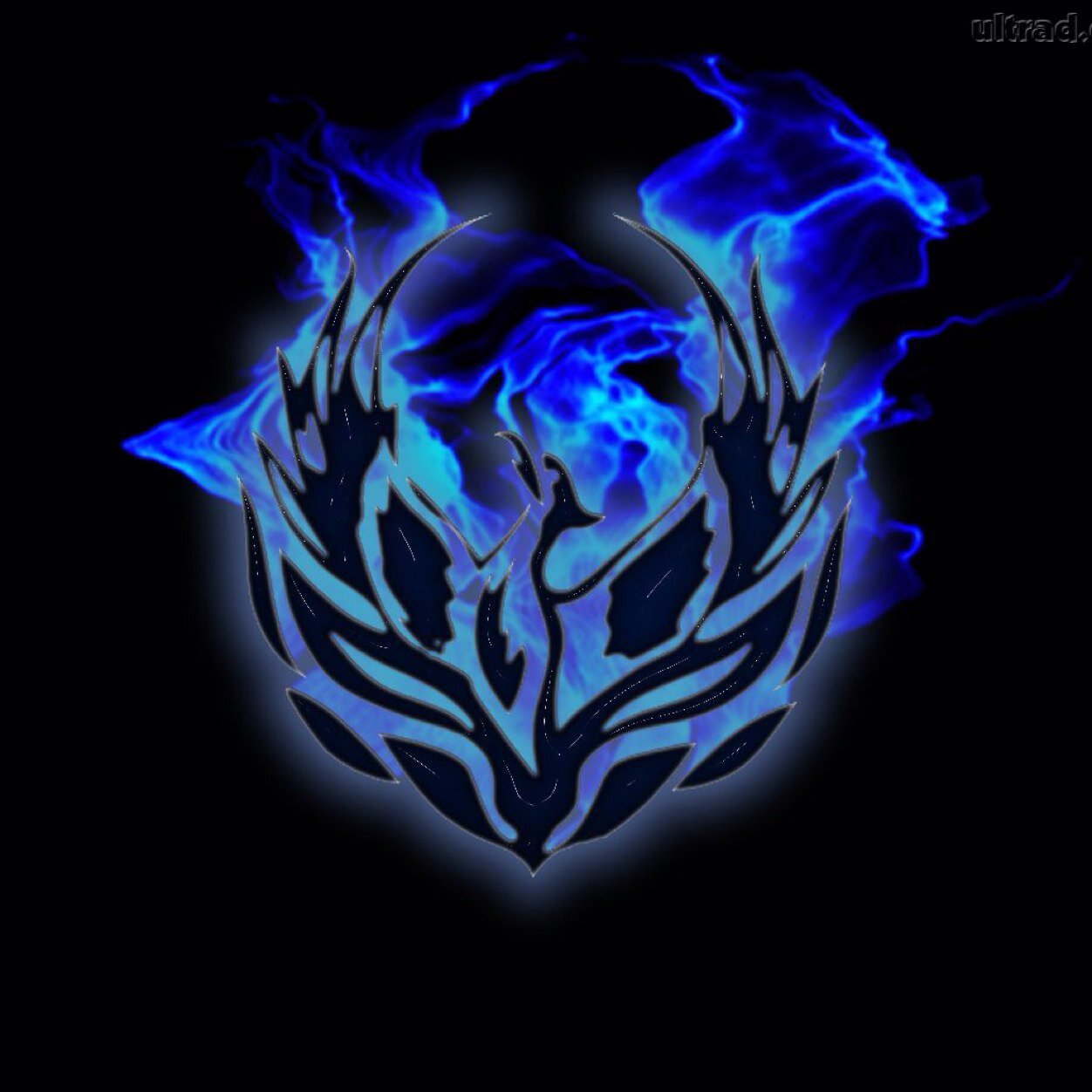 CAMILOCASTR1's profile picture. 