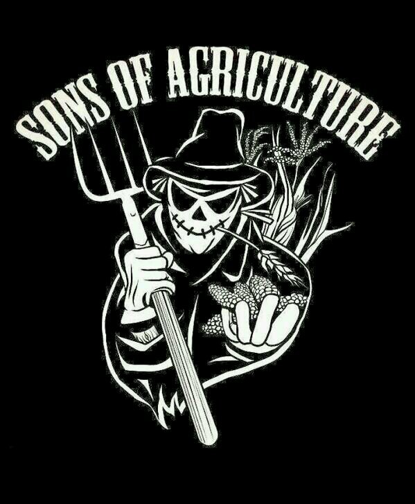 grain and cattle farmer.
