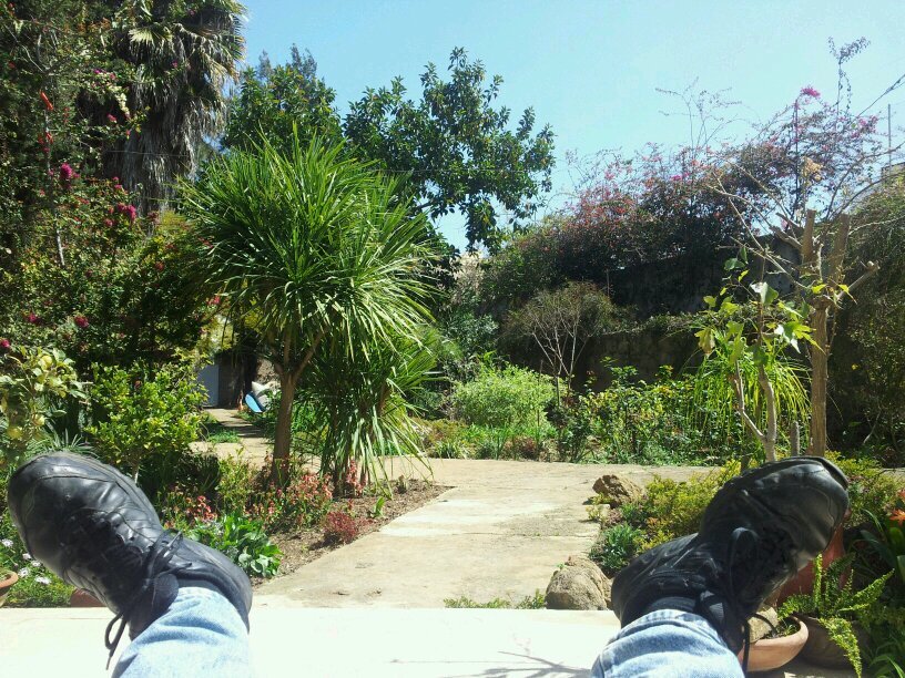 kemrabat's profile picture. Le temps qui passe...