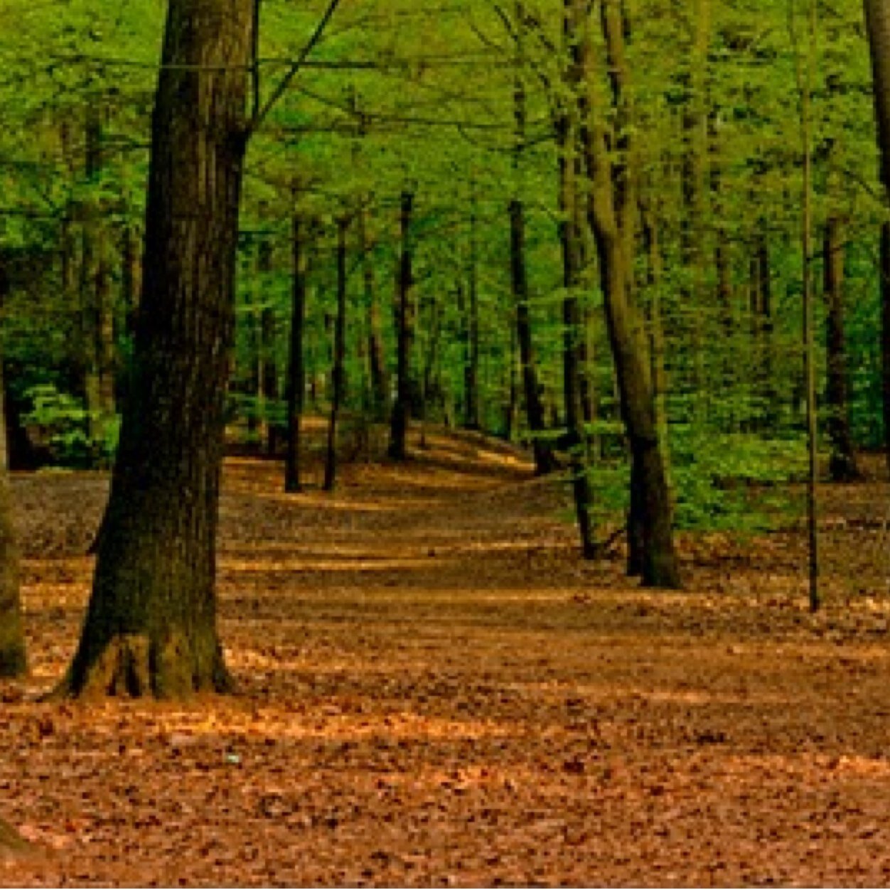 justuriikonen's profile picture. Poistettu vara prfiili