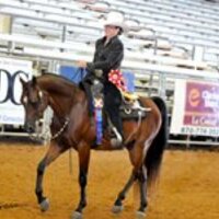 Michele Moss (@michelemoss) 's Twitter Profile