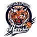 Toothless Tiger Recs (@toothlesstr) Twitter profile photo