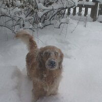 nancy cohen (@ncohencohen) 's Twitter Profile Photo nancy cohen (@ncohencohen) 's Twitter Profile Photo