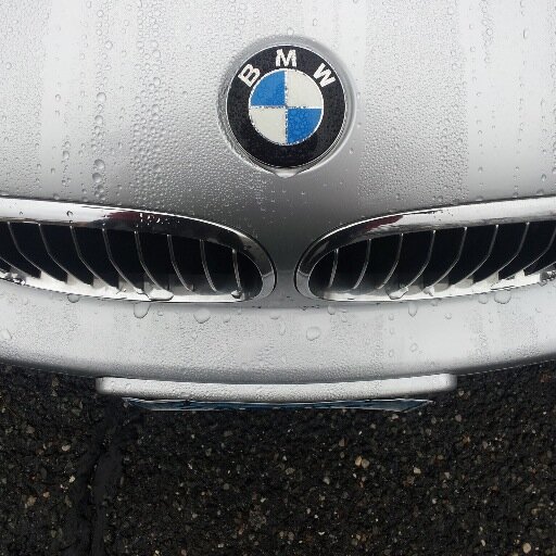 Toungston's profile picture. 34, single, missin my big ass CT apt, rescued lion