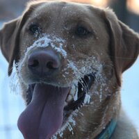 Bruce Freeman (@lunchnotfreeman) 's Twitter Profile