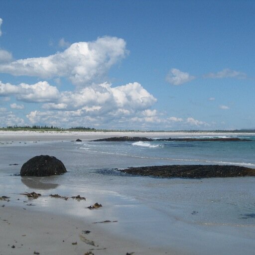 Enjoy reading, baking, walking, learning, music, sports, time w/family & friends; Retired from @AcadiaU @AcadiaNutrition 🇨🇦 My tweets are my own