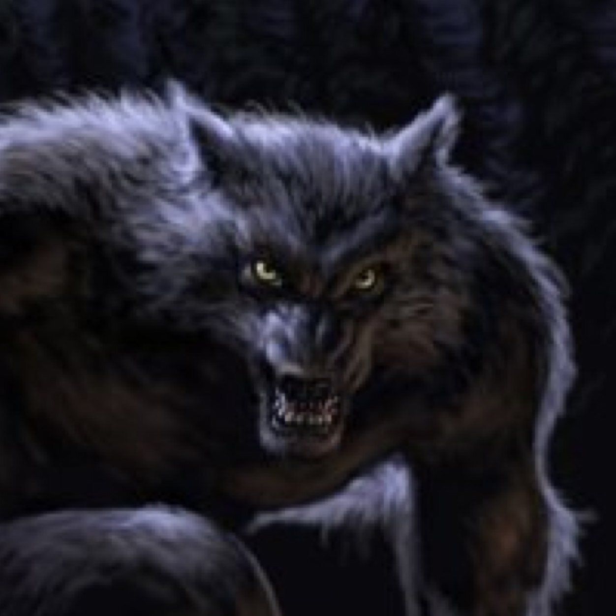 eren_leon's profile picture. 