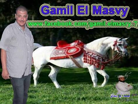 مالك ومدير شركة الاهرام لمستلزمات الخيول والفروسية والهجن للتواصل ت/00201224801903 يوجد واتساب