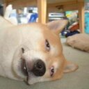 ヤバイアサン (@232ey) Twitter