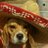 gallegastone's profile image
