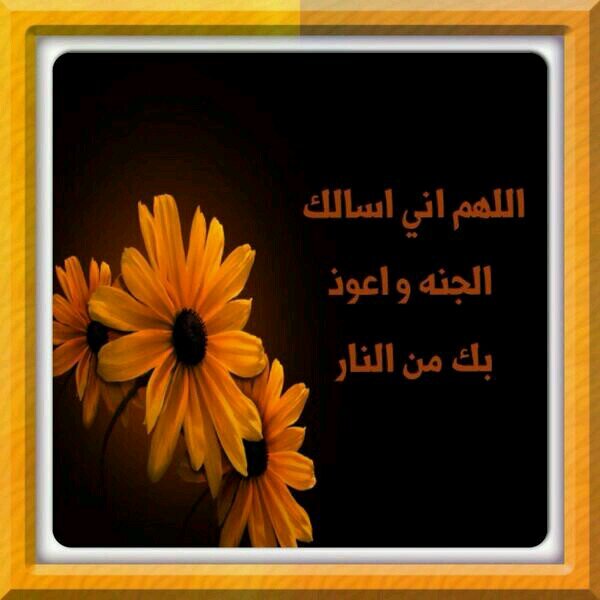 وماتوفيقي إلا بالله