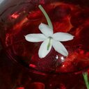 AJ Townsend - @Townsend_AJ - Twitter