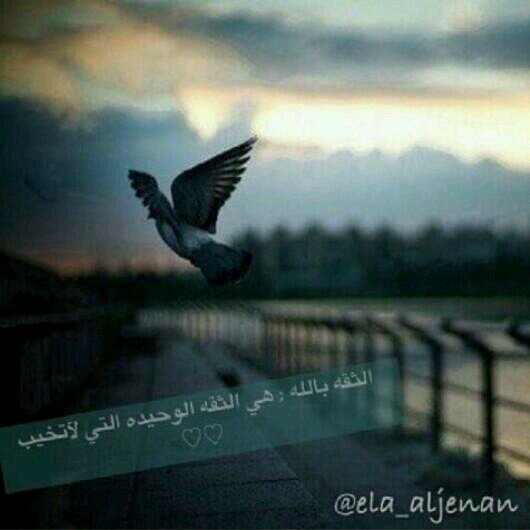 ♥‏جنوبية ♥