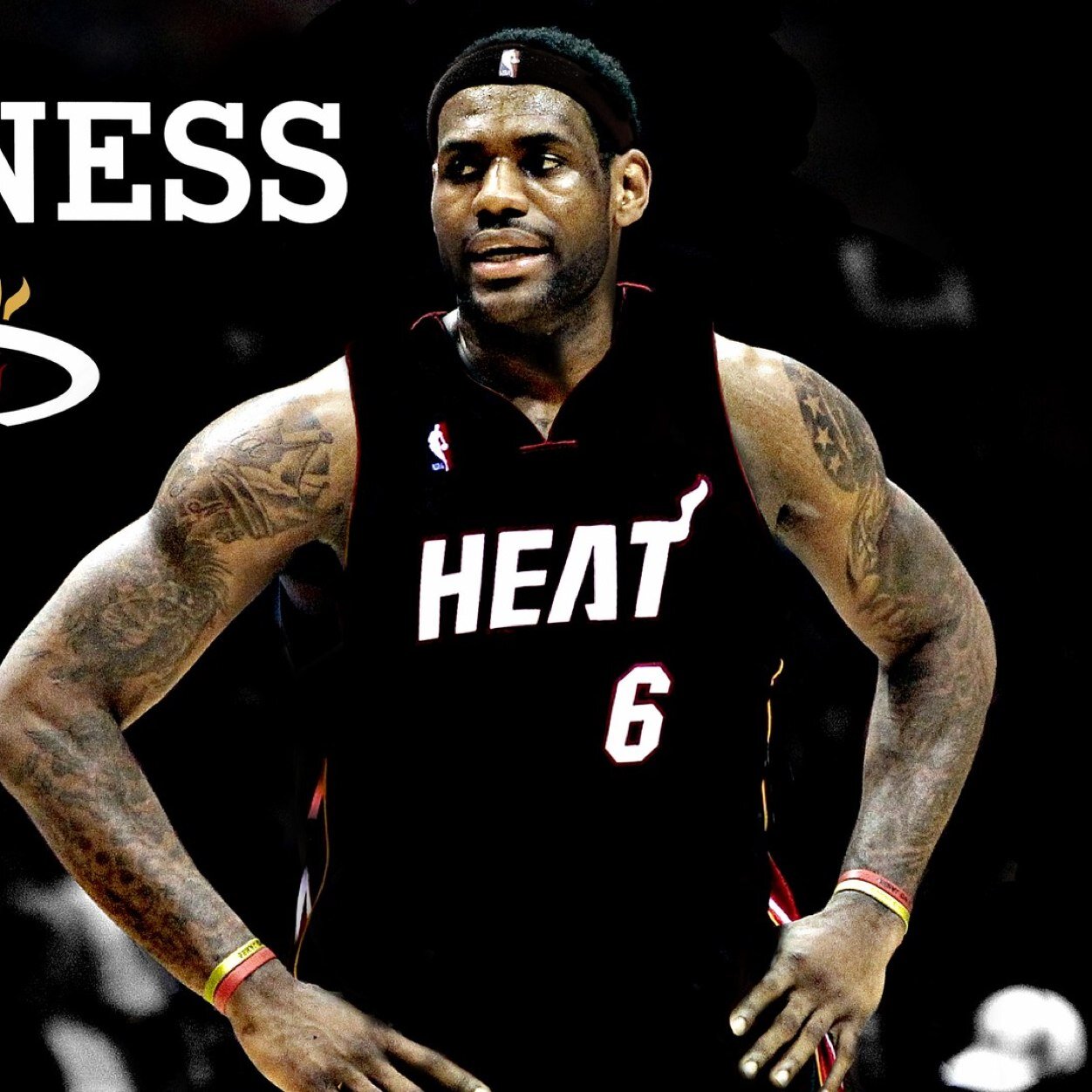 Lebron james fans all follow