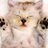 Meowum's profile image