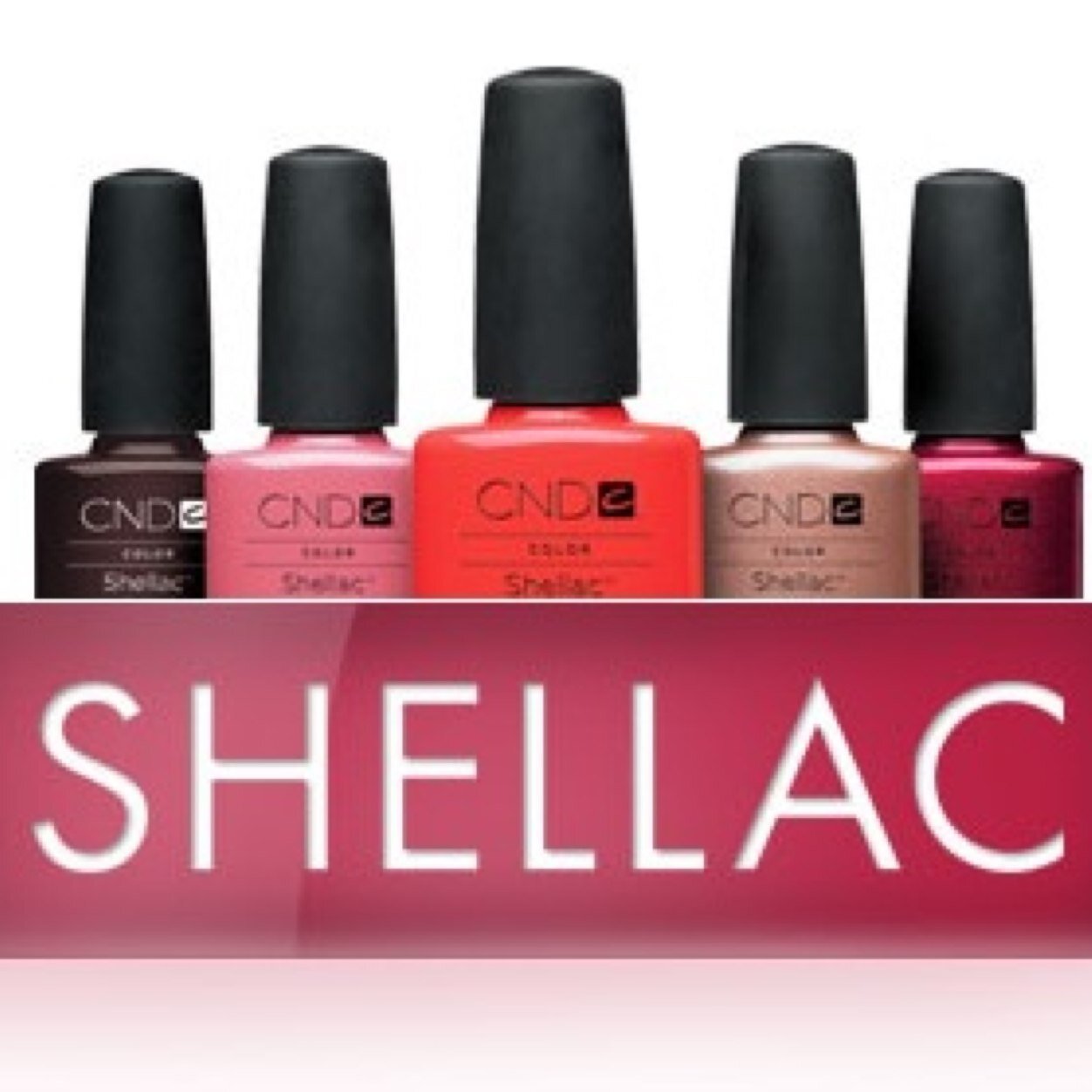 shellac_rostov's profile picture. Покрытие шеллак от 500р
Тел 8(904)506-03-84