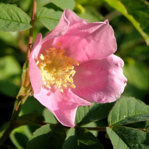 FinaBandiuc's profile picture. 