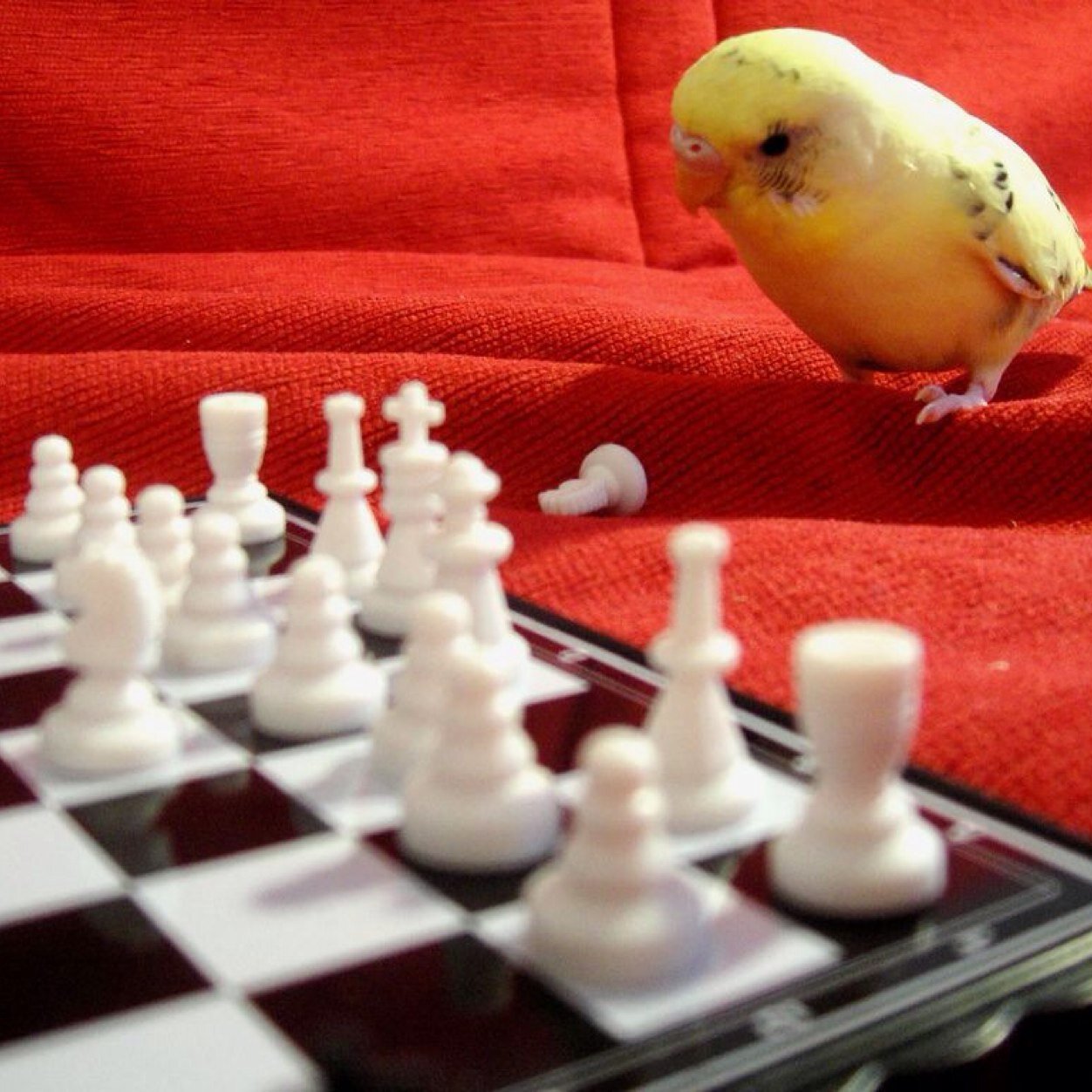 litvin50vasiliy's profile picture. 