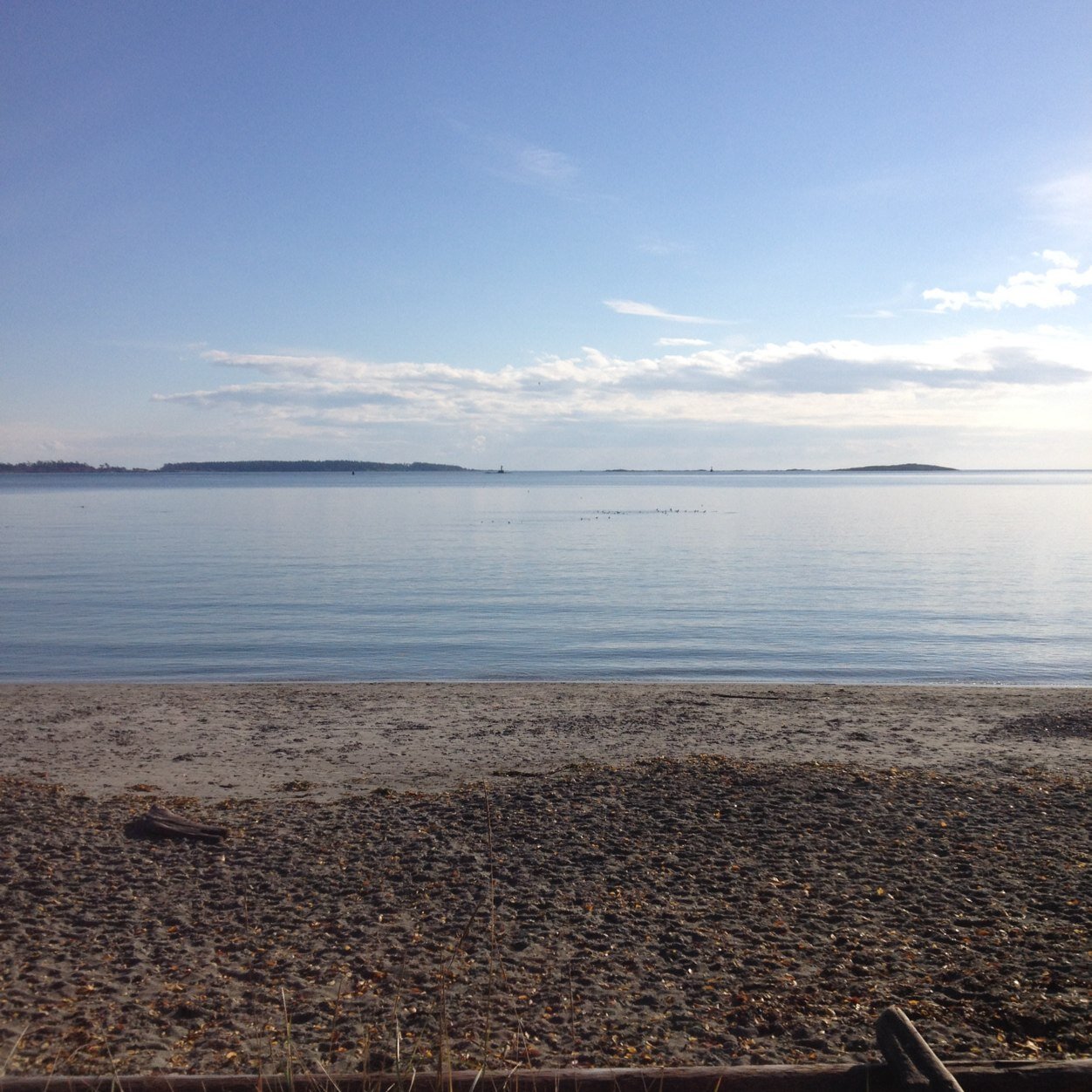 tjflett's profile picture. 