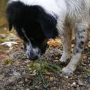 daniel polonsky - @danimal132 - Twitter